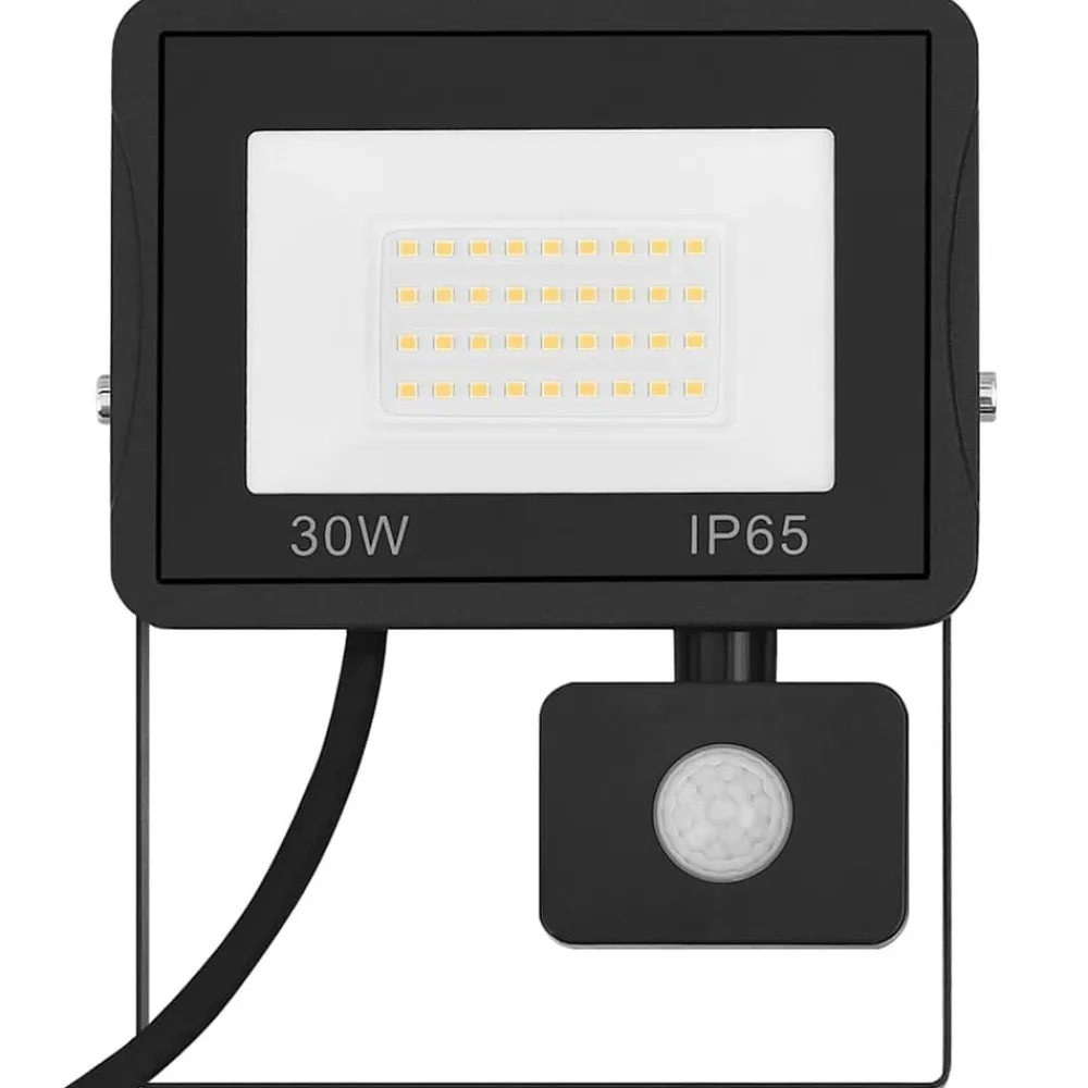 vidaXL Foco LED con sensor 30 W blanco cálido Blanco cálido New