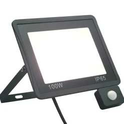 vidaXL Iluminación-Foco LED con sensor 100 W blanco frío