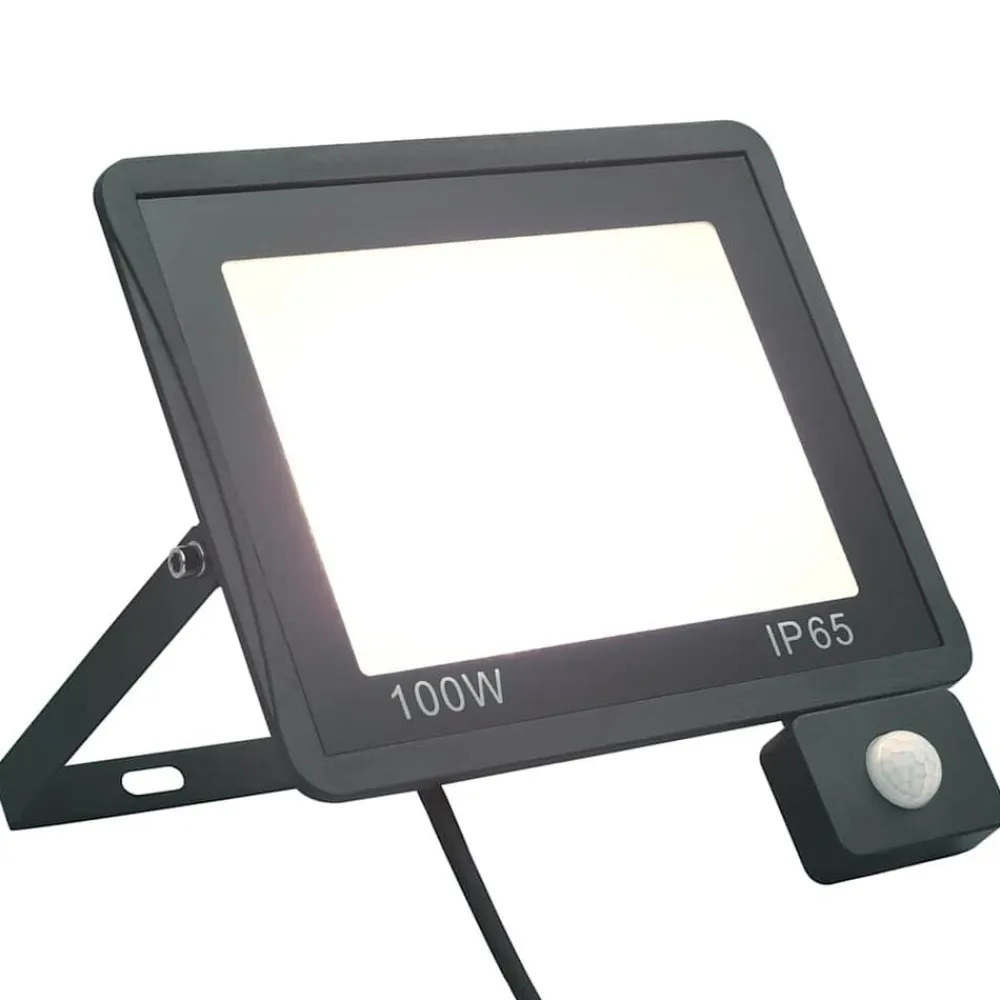 vidaXL Iluminación-Foco LED con sensor 100 W blanco frío