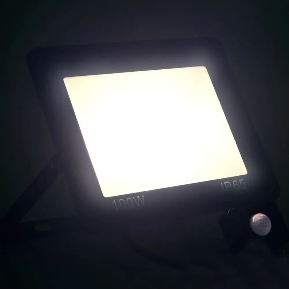 vidaXL Iluminación-Foco LED con sensor 100 W blanco frío