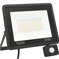 vidaXL Iluminación-Foco LED con sensor 100 W blanco frío