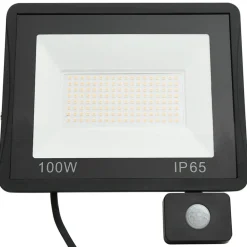 vidaXL Iluminación-Foco LED con sensor 100 W blanco frío