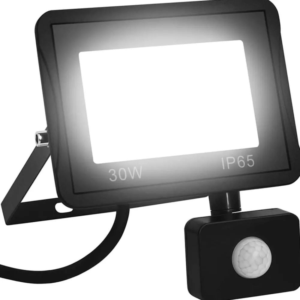 vidaXL Iluminación-Foco LED con sensor 30 W blanco frío