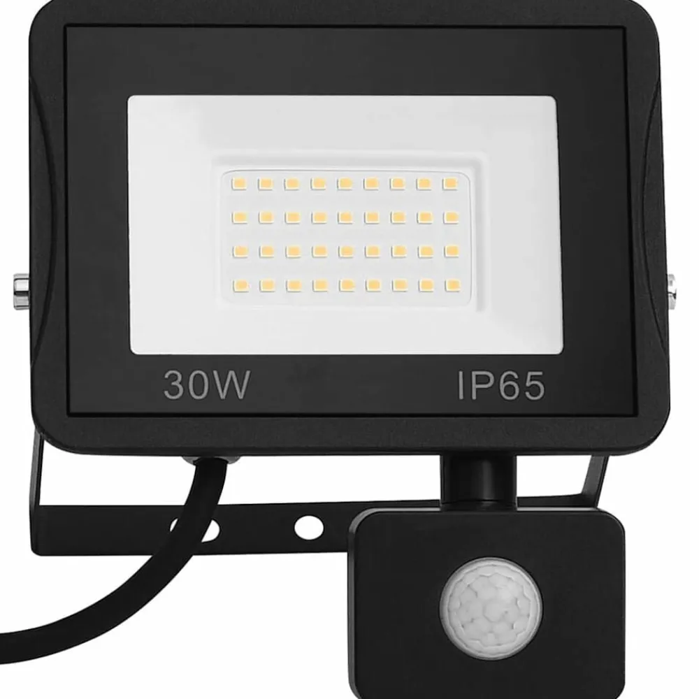 vidaXL Iluminación-Foco LED con sensor 30 W blanco frío