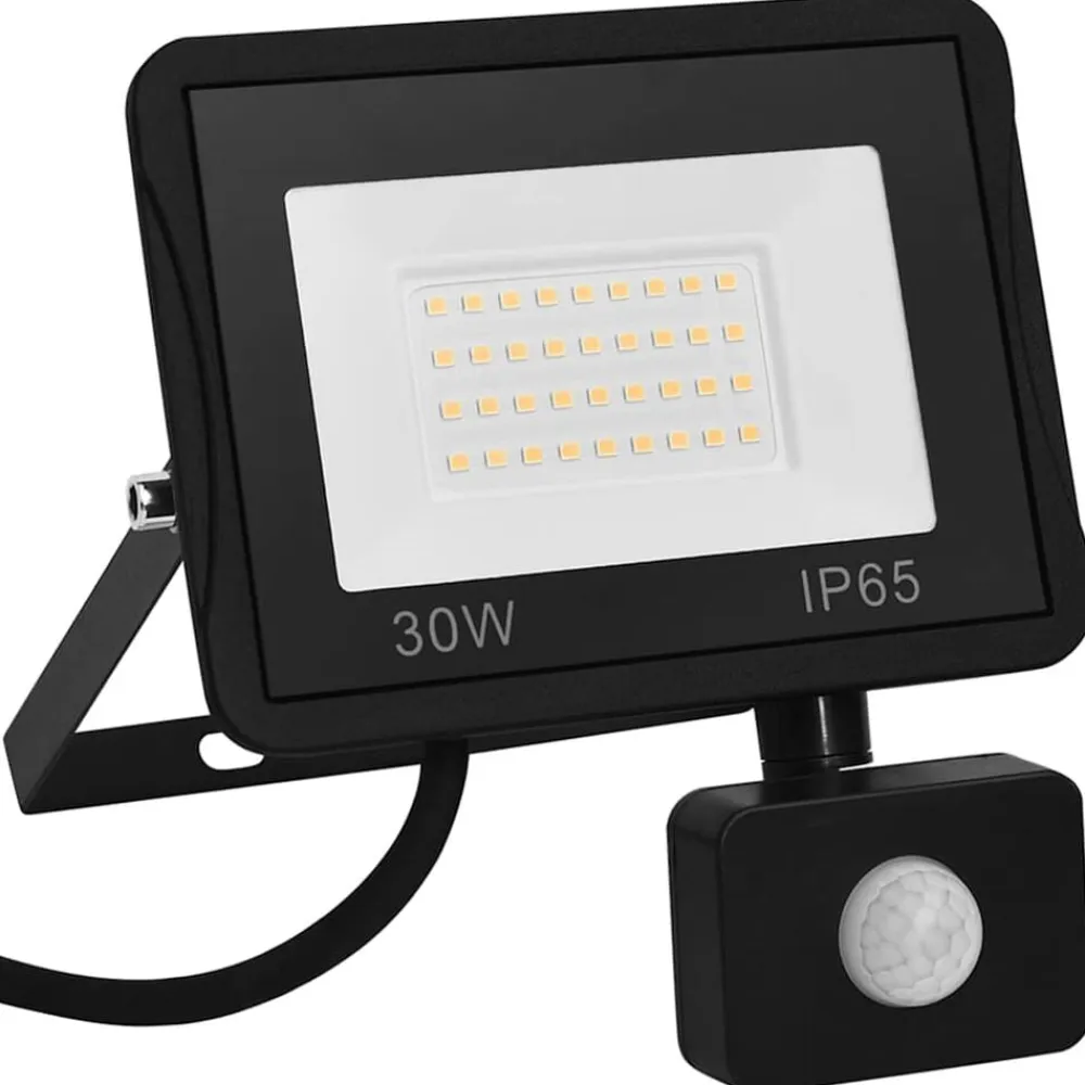 vidaXL Iluminación-Foco LED con sensor 30 W blanco frío