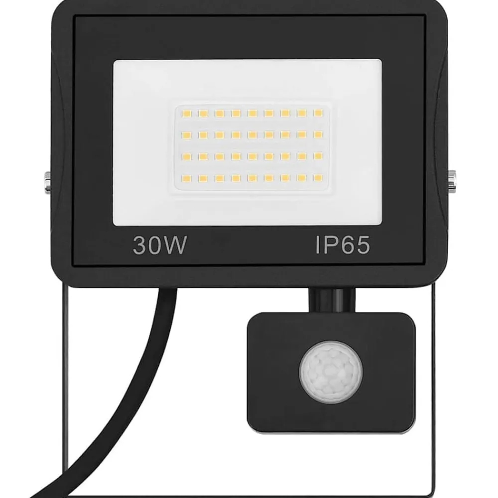 vidaXL Iluminación-Foco LED con sensor 30 W blanco frío