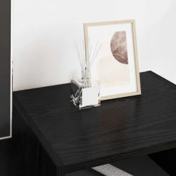 vidaXL Muebles Tv-Gabinete de TV 160 x 35 x 55 cm