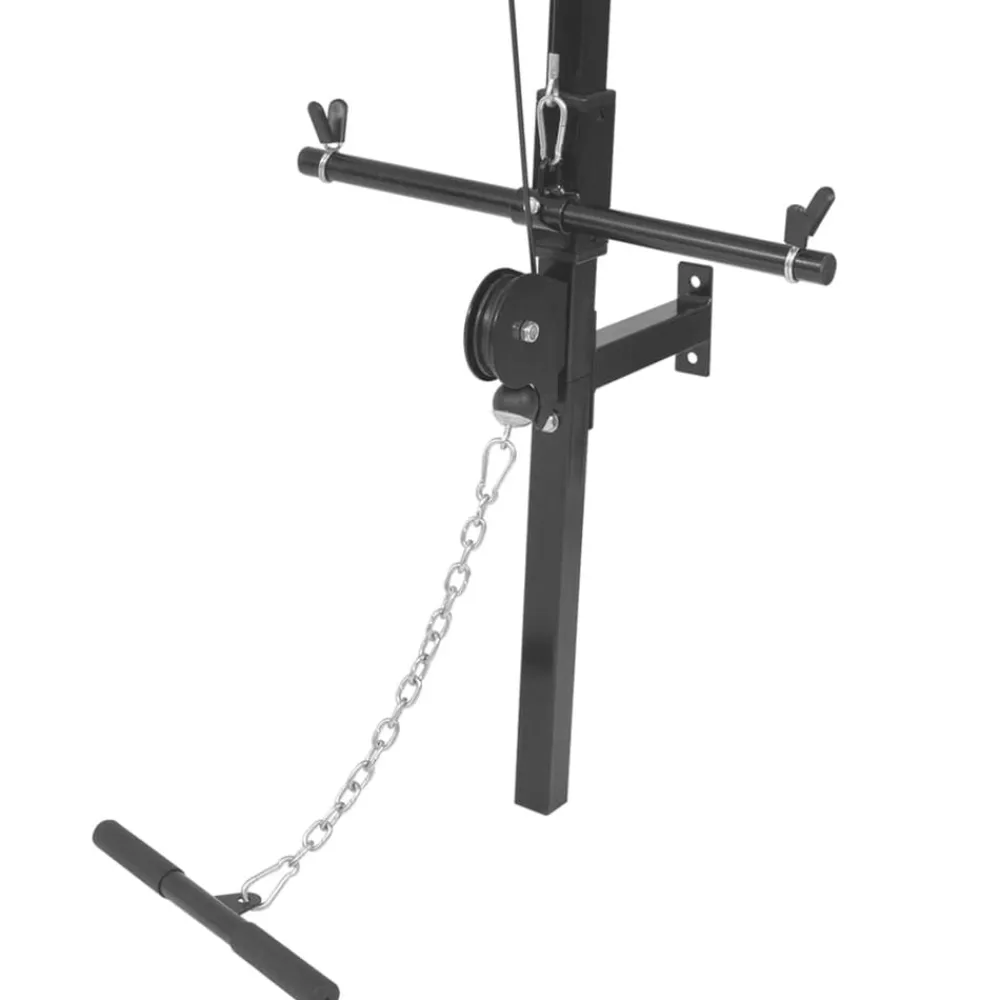 vidaXL Gimnasio en casa de pared con 2 poleas Hot