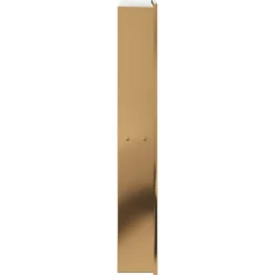 vidaXL Fontanería-Hornacina ducha acero inoxidable dorado cepillado 32x62x9 cm