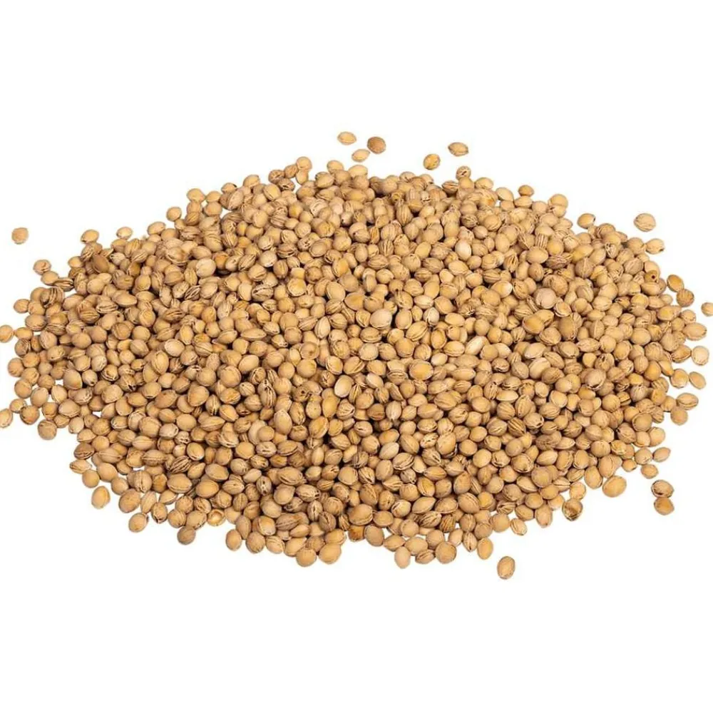 vidaXL Huesos de cereza para cojín térmico 20 kg Hot