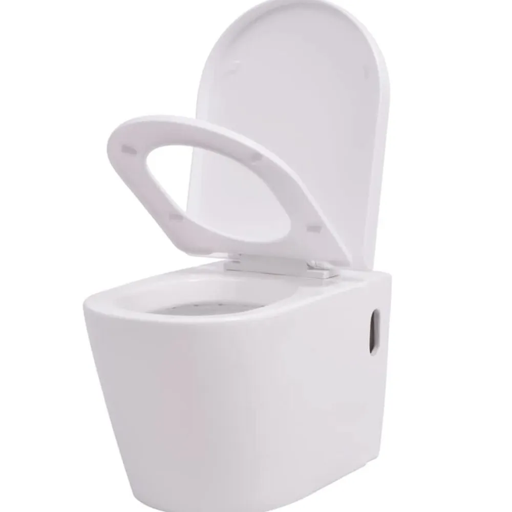 vidaXL Fontanería-Inodoro de pared con cisterna oculta cerámica