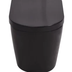vidaXL Inodoro de pared cerámica Negro Hot