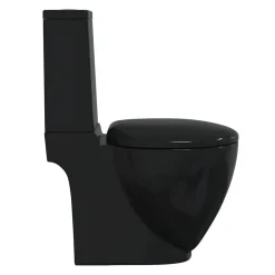 vidaXL Inodoro redondo de cerámica flujo hacia abajo Negro Hot