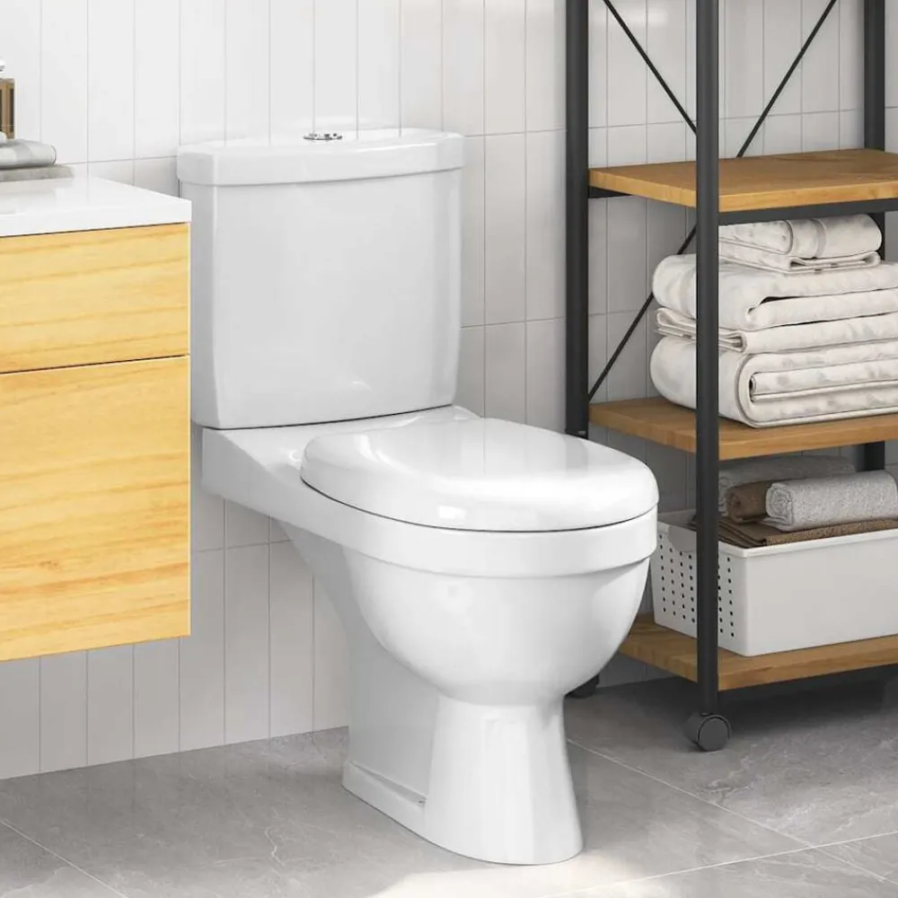 vidaXL Fontanería-Inodoro WC con cisterna