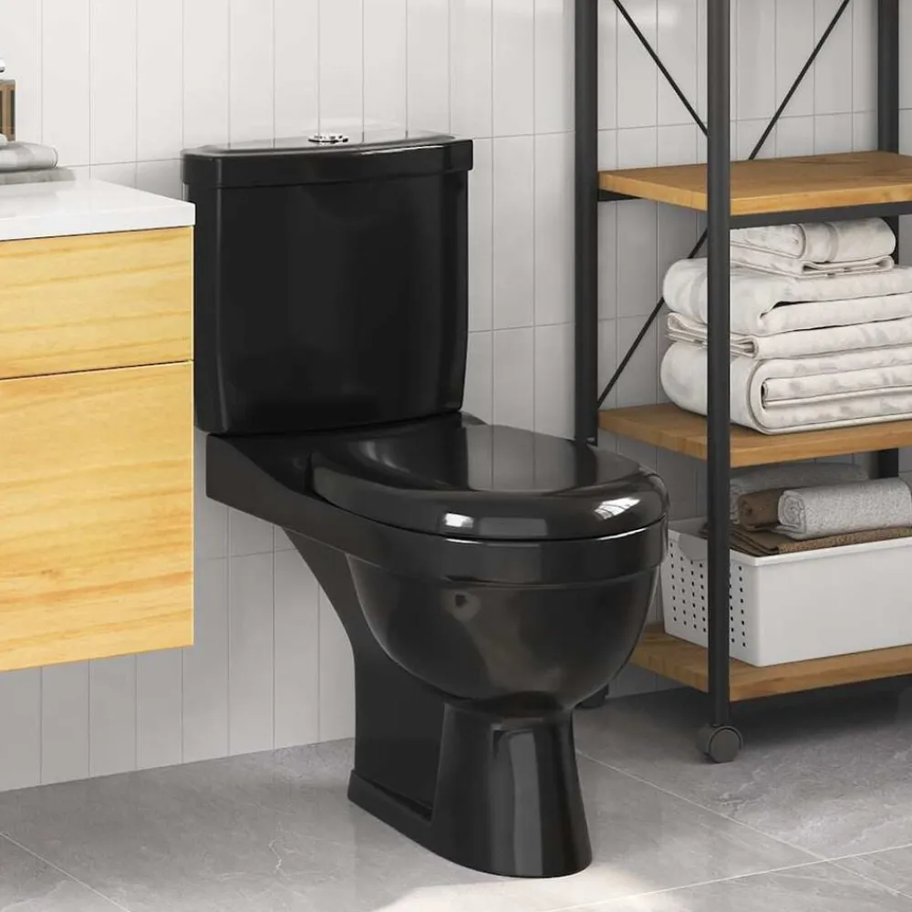 vidaXL Inodoro WC con cisterna Negro Best