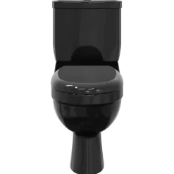 vidaXL Inodoro WC con cisterna Negro Best