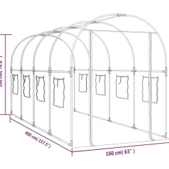 vidaXL Jardín-Invernadero PVC acero pintado polvo transparente 160x400x190cm