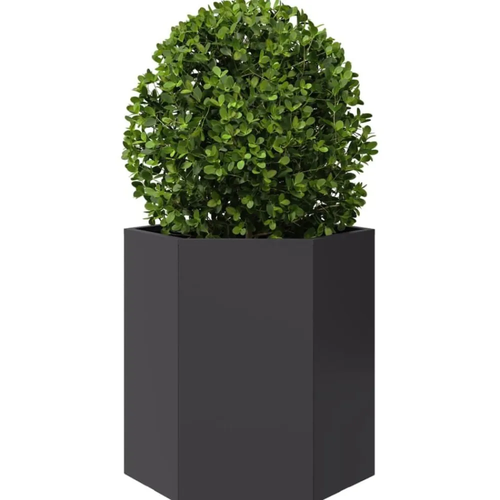 vidaXL Jardinera hexagonal acero negra 46x40x45 cm Acero/Negro New