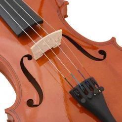 vidaXL Juego completo de violín con arco y barbada madera oscura 4/4 Marrón Online