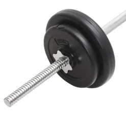 vidaXL Juego de barras y pesas 30 kg Sale