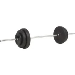 vidaXL Fitness Y Musculación-Juego de pesas 30 kg