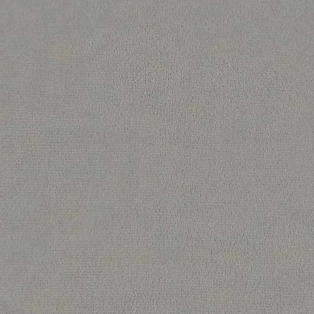 vidaXL Juego de Sofá 2 pcs 228 x 78 x 80 cm Terciopelo Gris claro Best