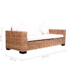 vidaXL Juego de sofás con cojines 2 piezas ratán natural Hot