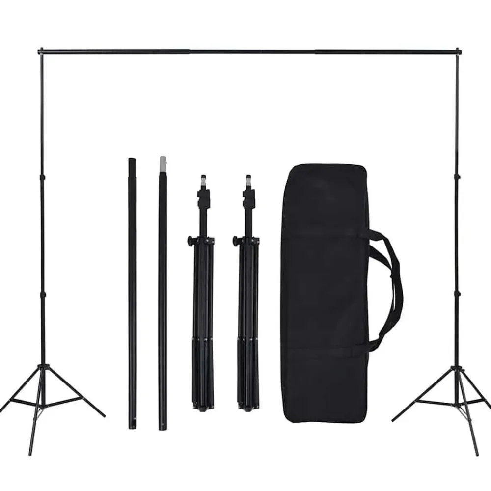 vidaXL Kit de estudio fotográfico con set de luces y fondo New