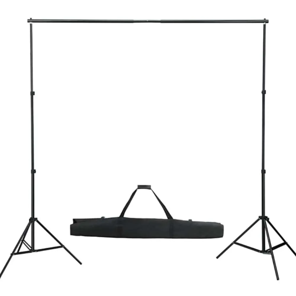 vidaXL Kit de estudio fotográfico con set de luces y fondo