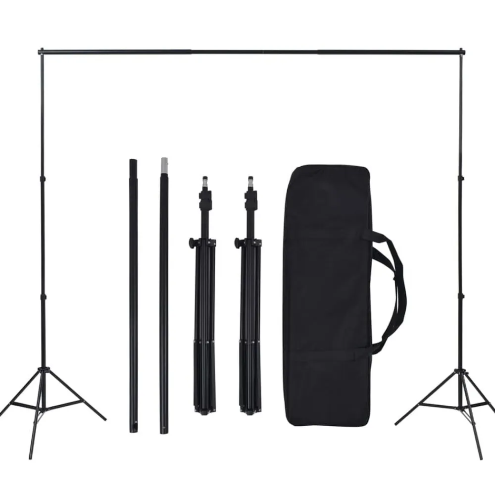 vidaXL Kit de estudio fotográfico con set de luces, fondo y reflector Best