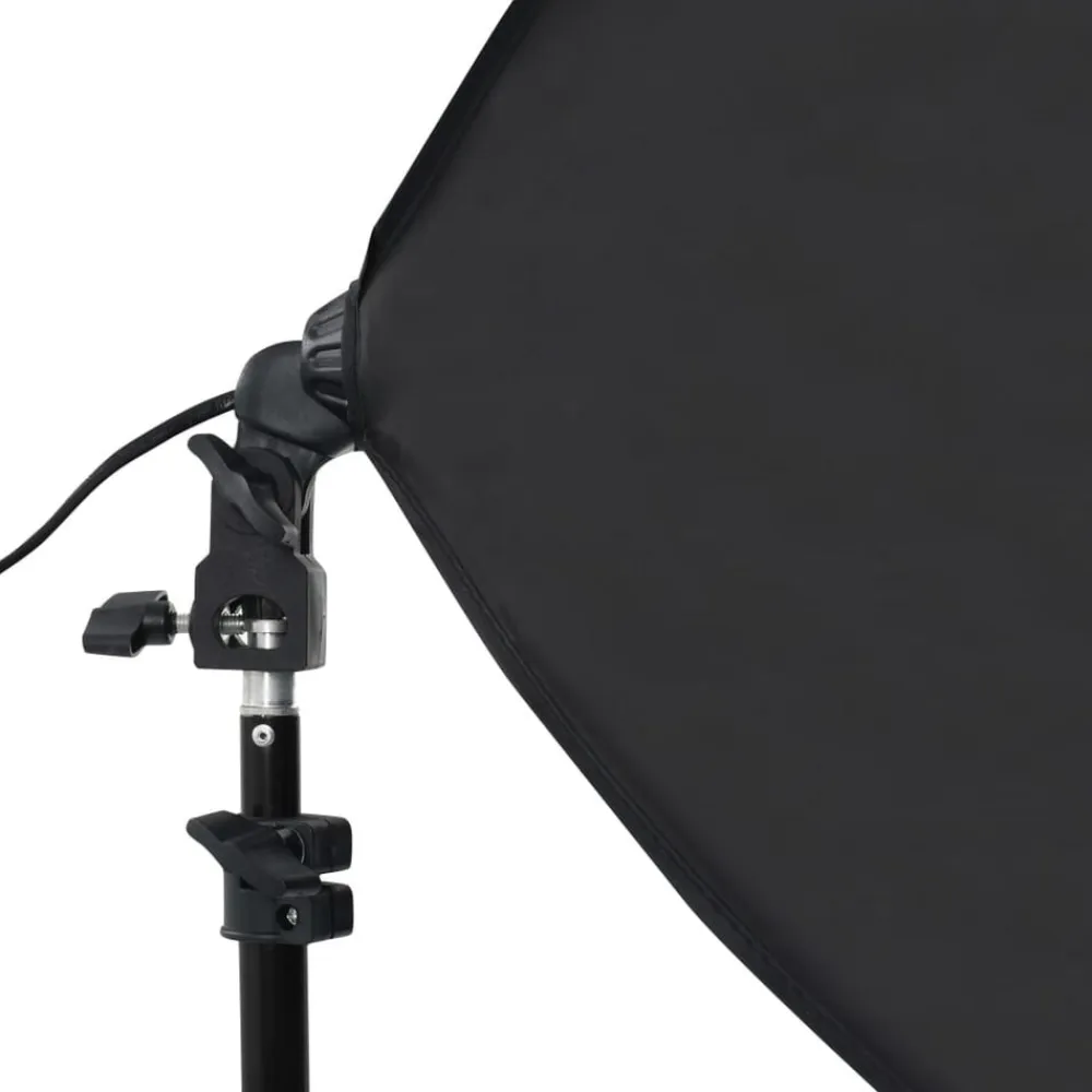 vidaXL Cámaras Y Objetivos-Kit de estudio fotográfico con luces softbox y fondo