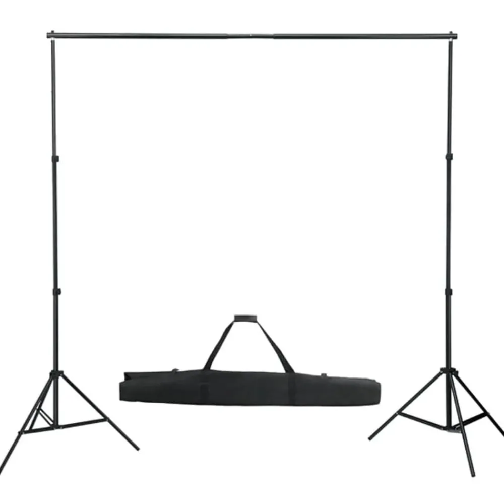 vidaXL Kit de estudio fotográfico con set de luces y fondo Hot
