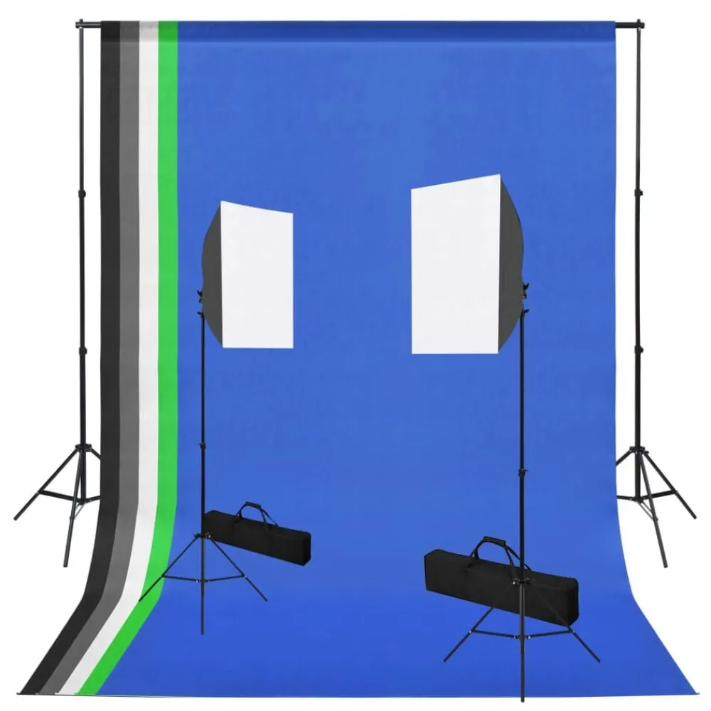 vidaXL Cámaras Y Objetivos-Kit de estudio fotográfico con luces softbox y fondos