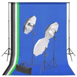 vidaXL Kit de estudio fotográfico con telón de fondo y set de luces Hot