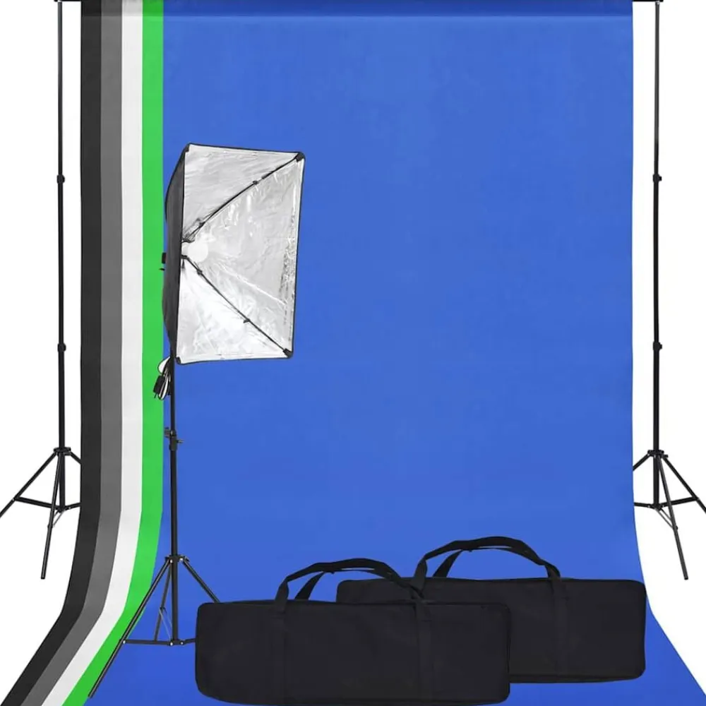 vidaXL Cámaras Y Objetivos-Kit de estudio fotográfico con softbox y fondo
