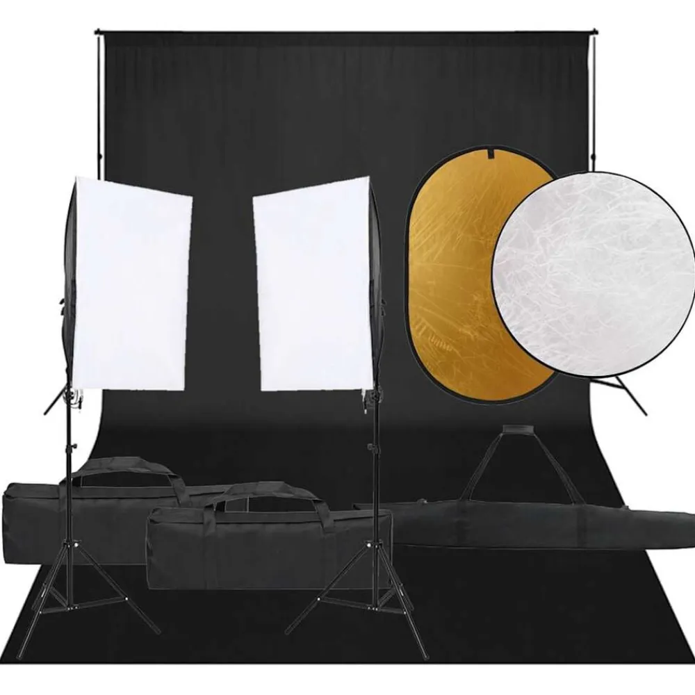 vidaXL Kit de estudio fotográfico con set de luces, fondo y reflector