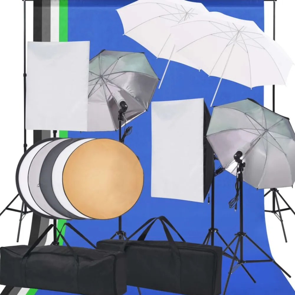 vidaXL Cámaras Y Objetivos-Kit de iluminación de estudio de fotografía