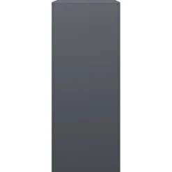 vidaXL Accesorios Para Hornos De Leña Y Chimeneas-Leñero de acero gris antracita 120x35x120 cm