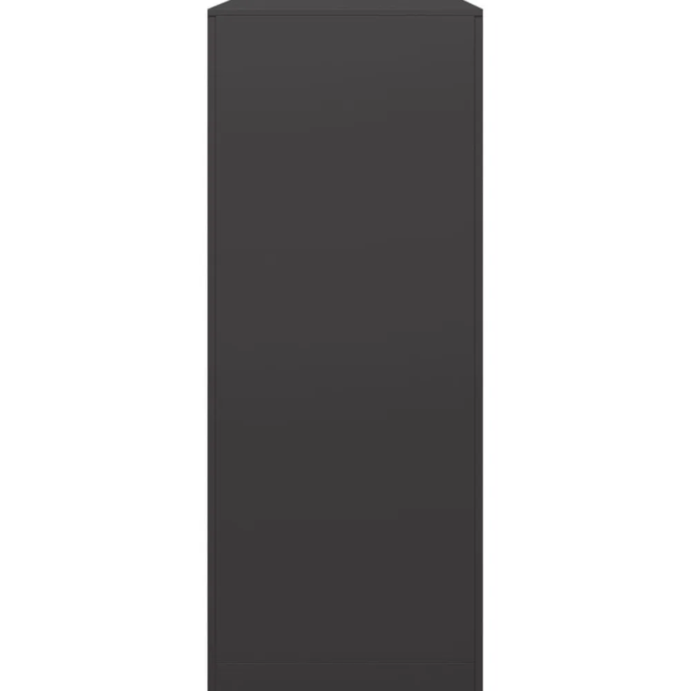 vidaXL Leñero de acero negro 100x40x100 cm Acero/Negro New
