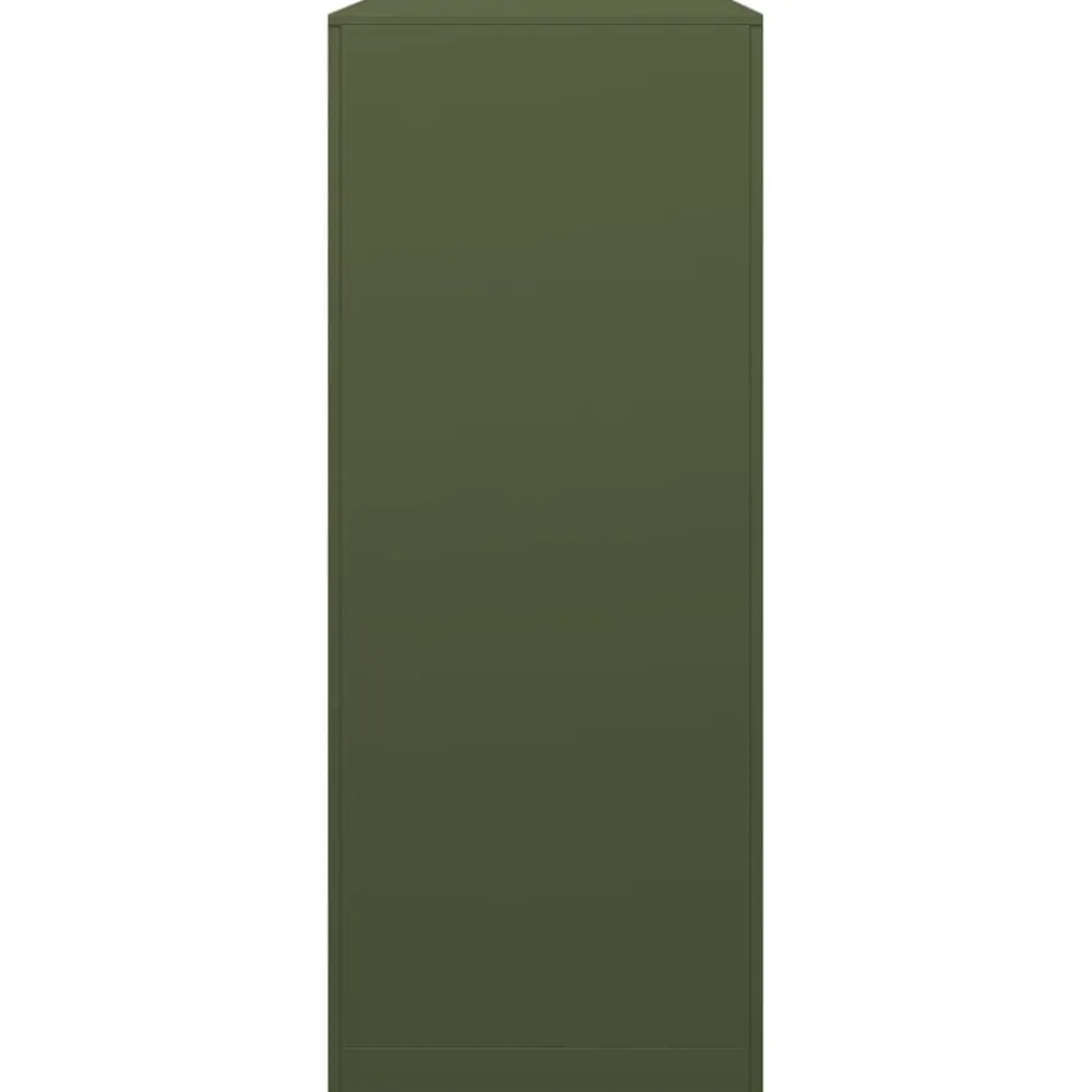 vidaXL Accesorios Para Hornos De Leña Y Chimeneas-Leñero de acero verde 100x40x100 cm