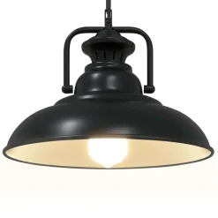vidaXL Iluminación-Lámpara colgante E27 negra Ø 31 cm Hierro