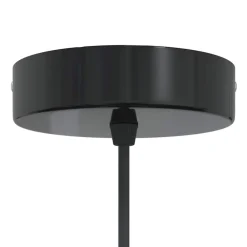 vidaXL Iluminación-Lámpara colgante regulable en altura E27 oscuro brillante Ø22cm
