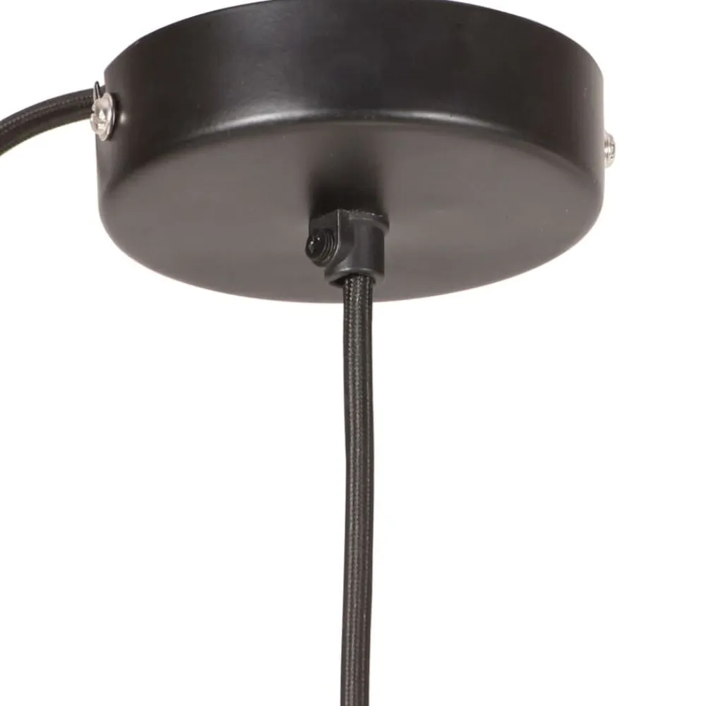 vidaXL Lámpara colgante redonda negra 25 W 17 cm E27 Negro Best