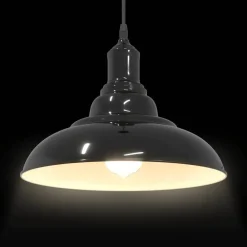 vidaXL Iluminación-Lámpara colgante regulable en altura E27 oscuro brillante Ø31cm