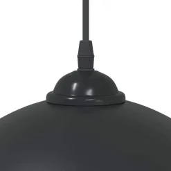 vidaXL Iluminación-Lámparas colgantes 2 uds regulable en altura E27 Ø 30 cm