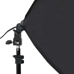 vidaXL Cámaras Y Objetivos-Lámparas de estudio profesional 2 uds acero negro 40x60 cm