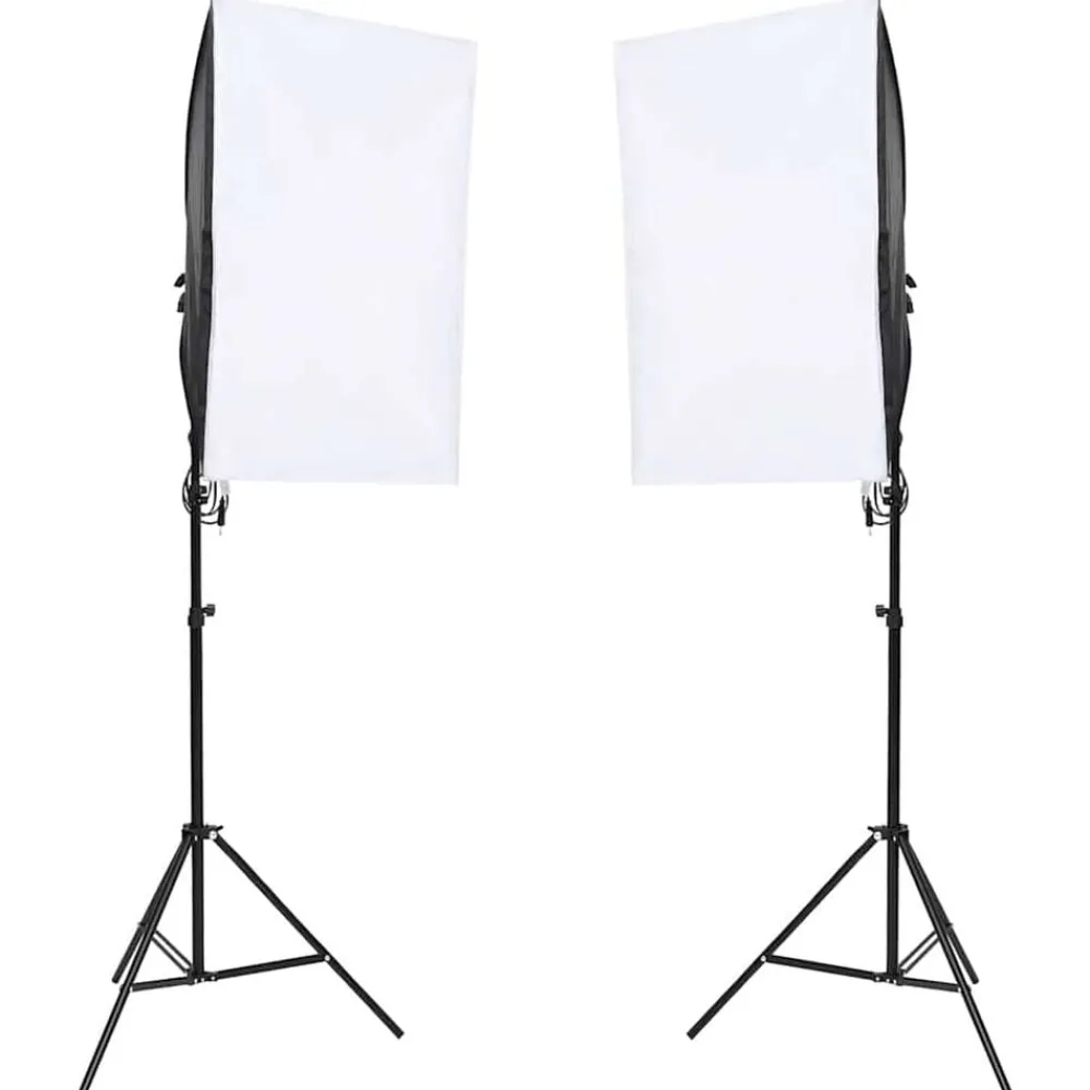 vidaXL Lámparas de estudio profesional 2 unidades 40x60 cm