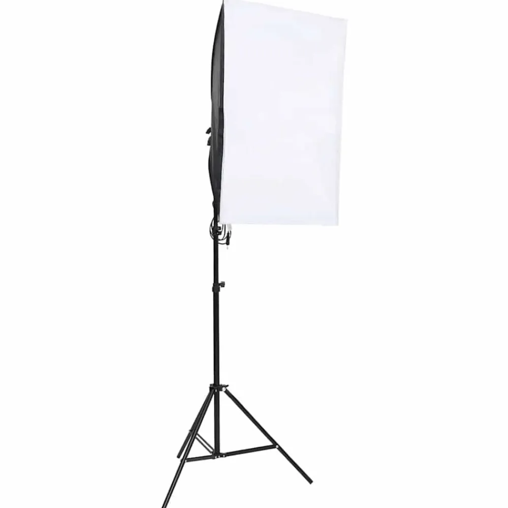 vidaXL Lámparas de estudio profesional 2 unidades 40x60 cm