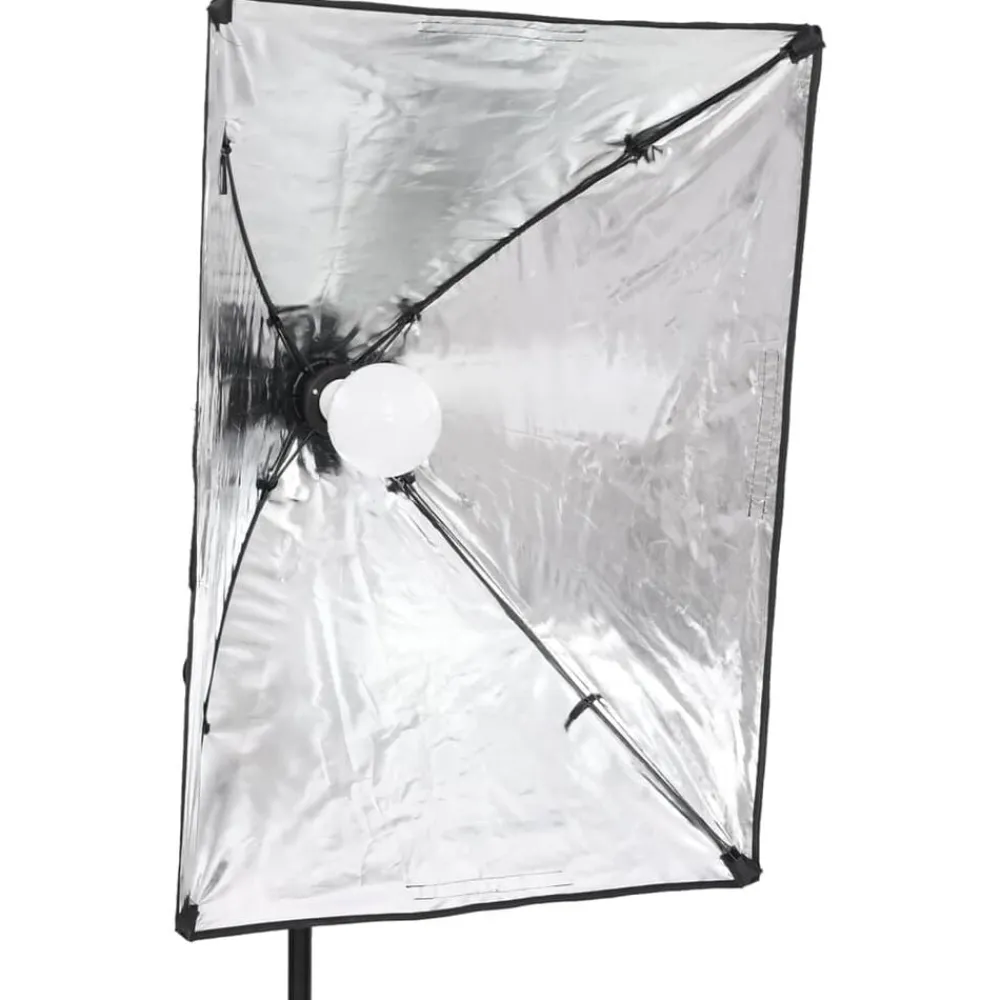 vidaXL Lámparas de estudio profesional 2 unidades 40x60 cm