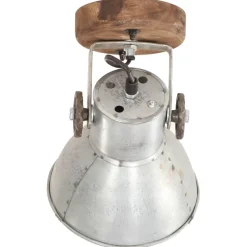 vidaXL Lámparas de pared/techo industrial 2 uds plateada 20x25 cm E27 Plateado Online